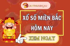 Tấn Bình Soi Cầu Dự Đoán Xổ Số Miền Bắc Ngày 09/06/2026