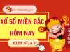 Tấn Bình Soi Cầu Dự Đoán Xổ Số Miền Bắc Ngày 11/06/2026