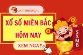 Tấn Bình Soi Cầu Dự Đoán Xổ Số Miền Bắc Ngày 12/06/2026