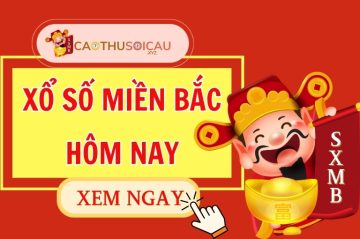 Tấn Bình Soi Cầu Dự Đoán Xổ Số Miền Bắc Ngày 12/06/2026