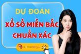 Tấn Bình Soi Cầu Dự Đoán Xổ Số Miền Bắc Ngày 29/07/2026