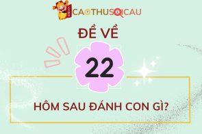 Đề về 22 hôm sau đánh con gì? Nhận định từ Tấn Bình soi cầu