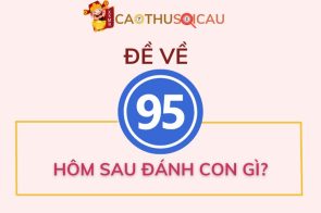 Bạc nhớ đề về 95 hôm sau đánh con gì chuẩn xác